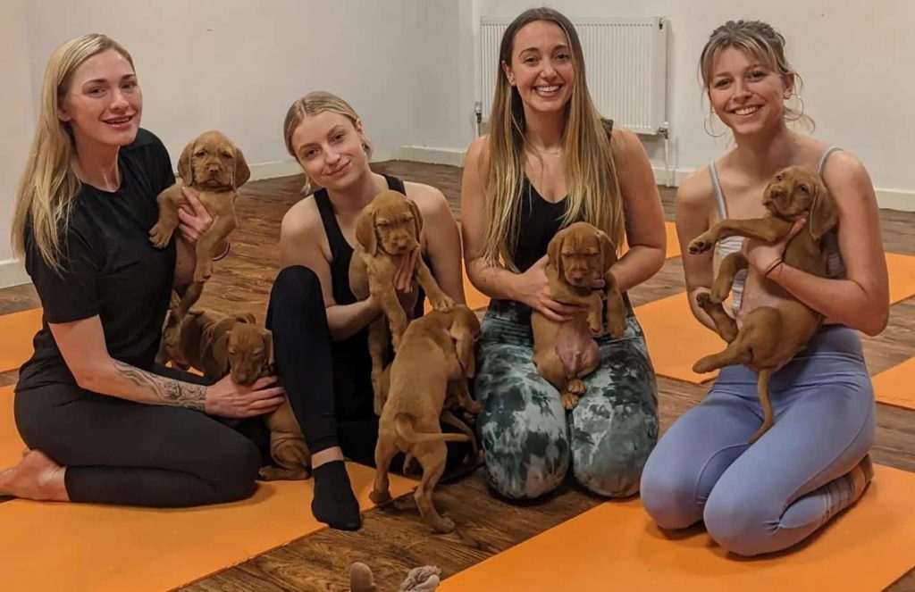 pawyoga-women-holding-hungarian-vizsla-puppies