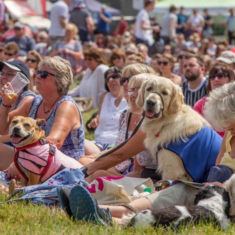 A Dog Festival Hosted By Supervet Noel Fitzpatrick Is Happening Near