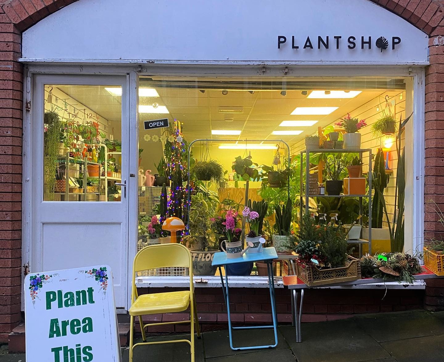 plant-shop-stockport-best-plant-shops-in-manchester-flowers-houseplant