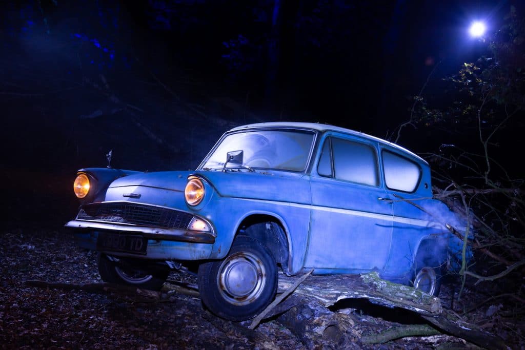 Car caught on roots in a dark forest