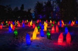 glowing-penguin-lanterns-at-chester-zoo-trail