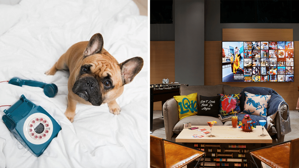 A New York-Style ‘Party’ Hotel Where Dogs & Their Humans Can Stay Has Opened In Spinningfields