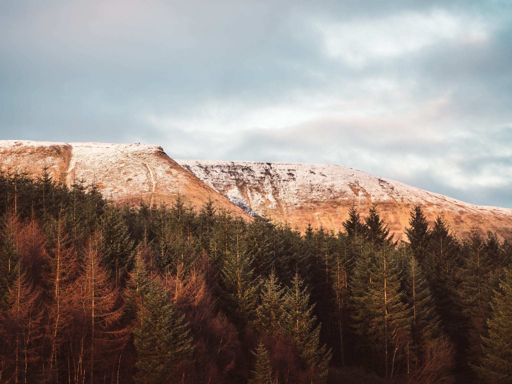 The stunning landscapes of hills and a pine forest in the Brecon Beacons 