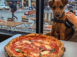 rudys-pizza-with-dog