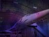 You Can Now Party Under One Of The Last Remaining Concorde Planes