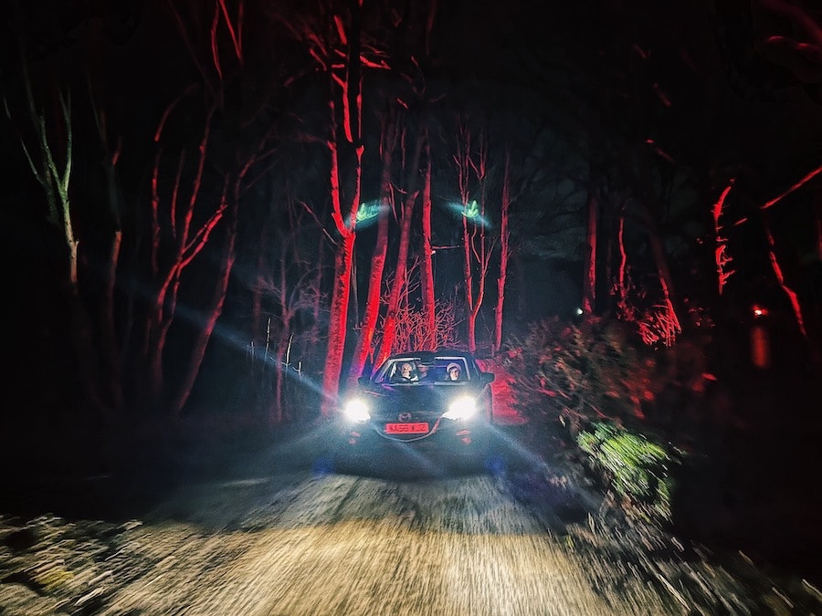 car drives through trees illuminated in red