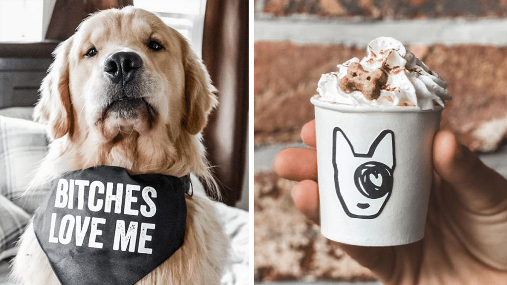 A New Dog Salon Serving Puppuccinos Alongside Doggy Mud Baths Is Opening At Kampus