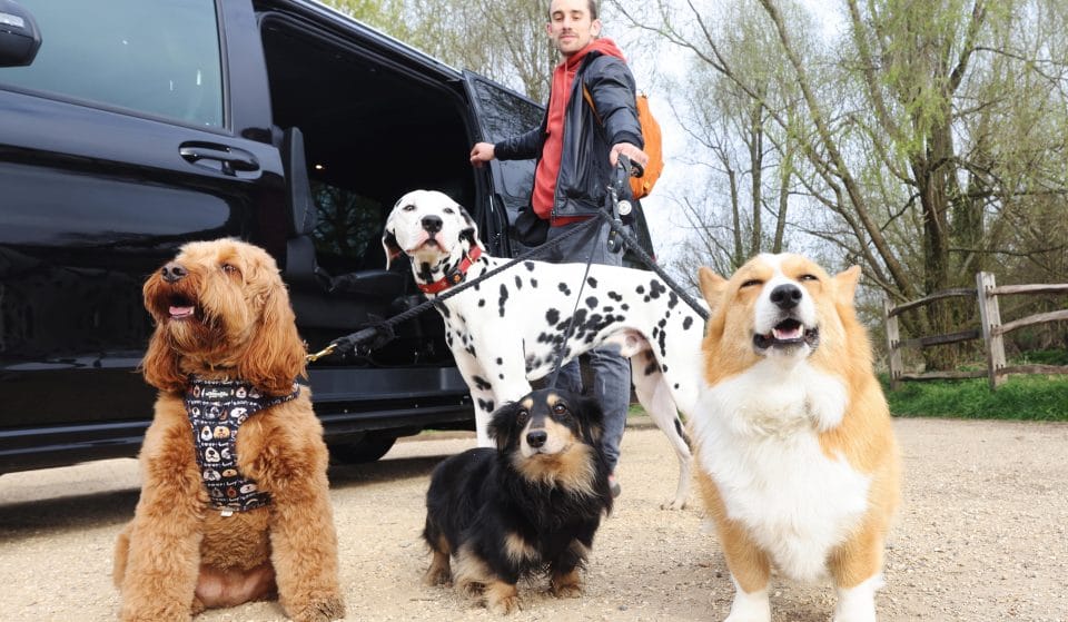 Uber Has Launched A Brand New Travel Service For Pets