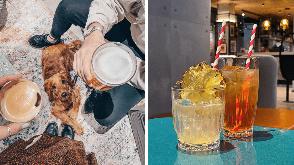This Manchester Hotel Is Hosting A Fun ‘Pooch Party’ With DJs, Pawsecco & Doggy Ice Cream