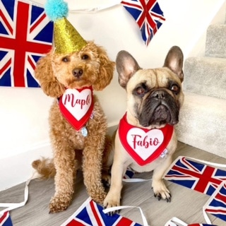 This Manchester Hotel Is Hosting A Jubilee ‘Pooch Party’ With Puppucinos, Cocktails & Doggy Ice Creams