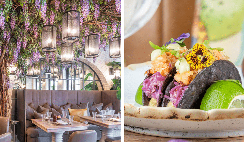 6 Beautifully Botanical Restaurants To Dine In Right Here In Manchester