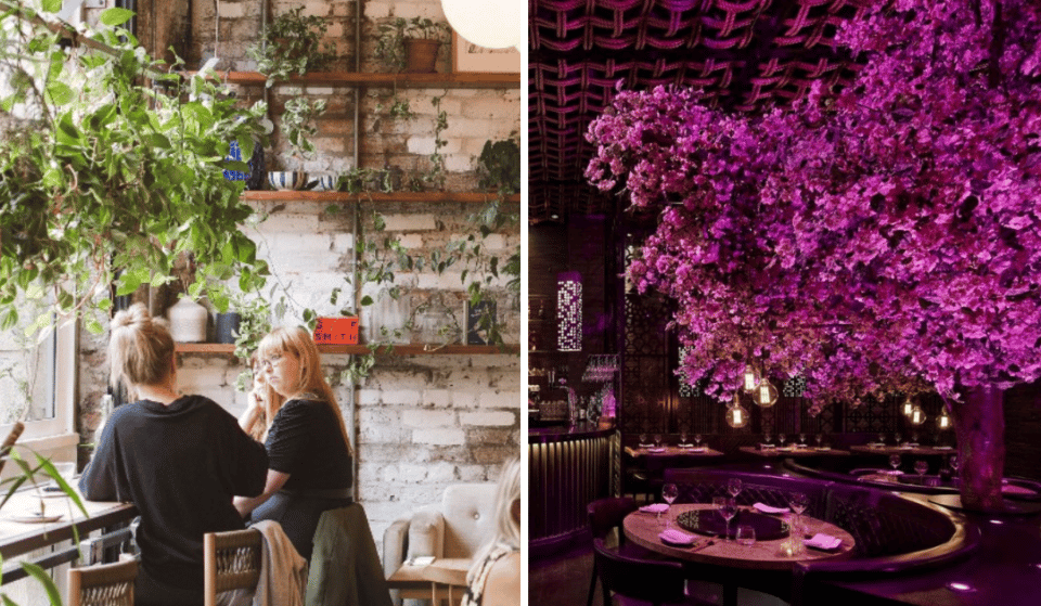 8 Beautifully Botanical Restaurants To Dine In Right Here In Manchester