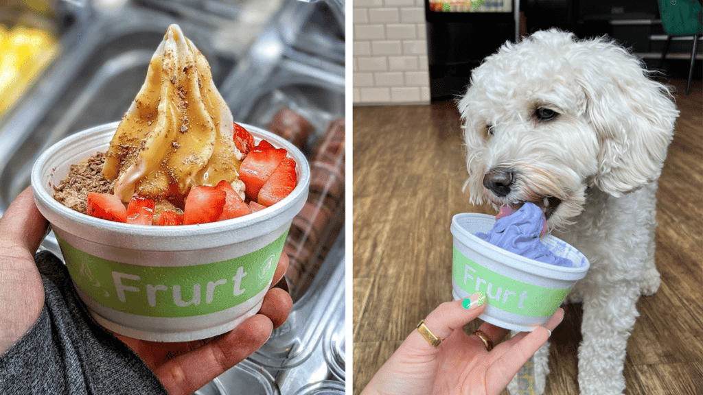 The Fabulous Fro-Yo Cafe Where You Can Cool Down With Your Dog In Manchester