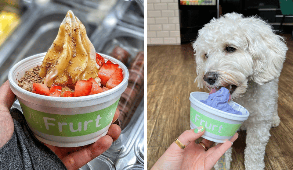 The Fabulous Fro-Yo Cafe Where You Can Cool Down With Your Dog In Manchester