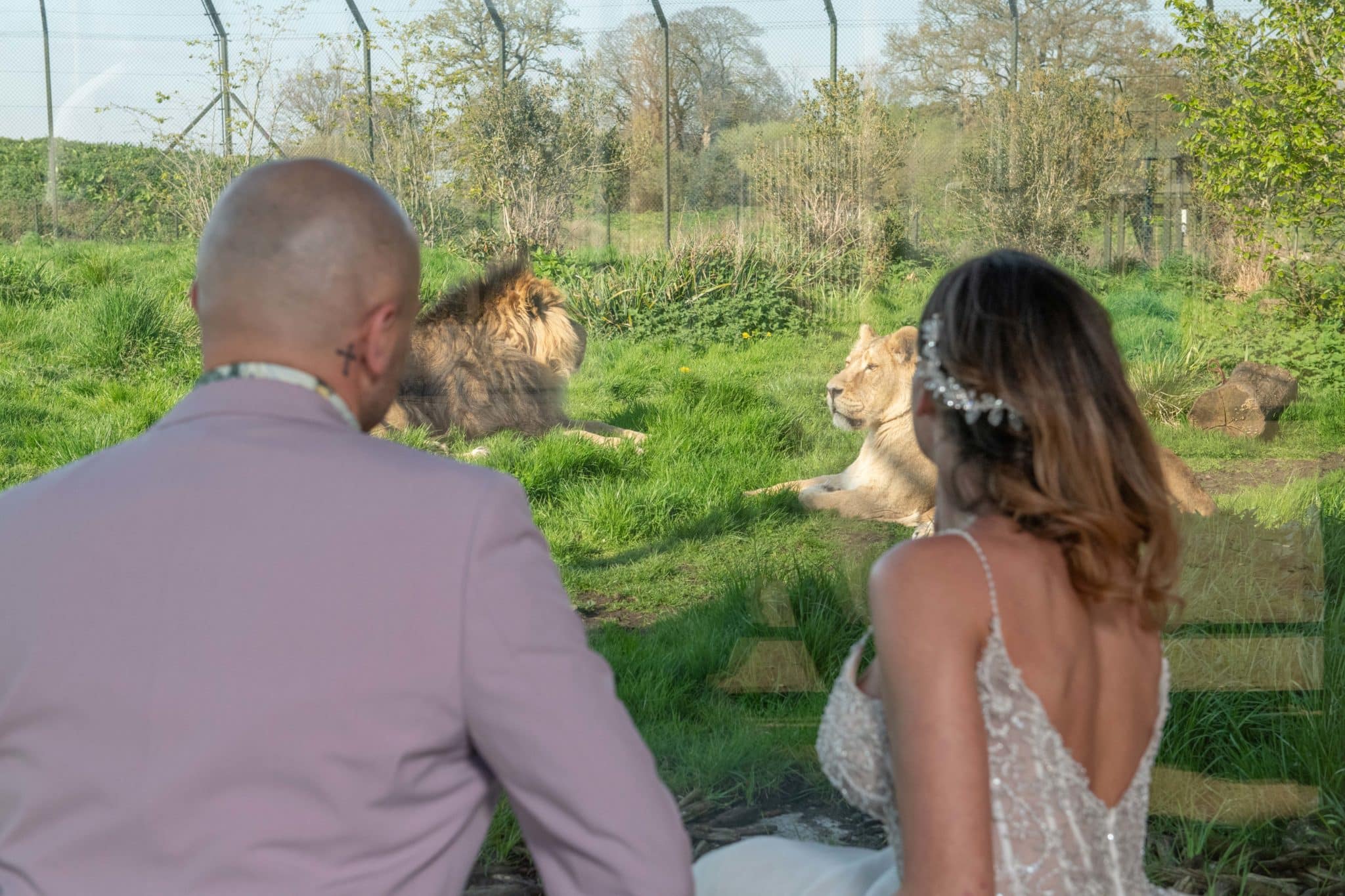 chester-zoo-wedding