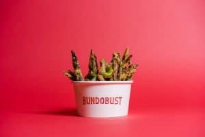 salt-and-pepper-okra-fries-one-of-bundobust-indo-chinese-specials