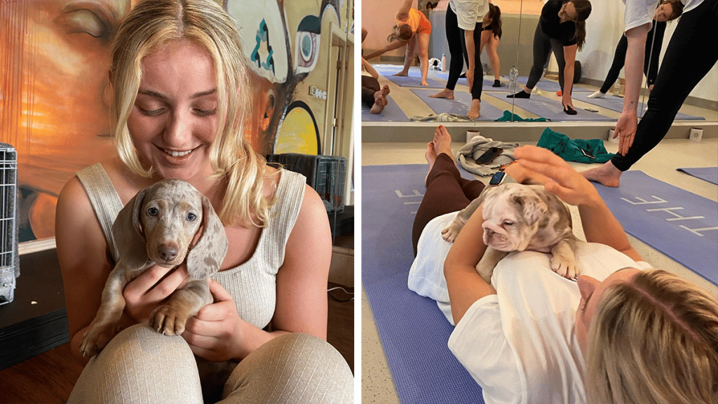Puppy Yoga Is Coming To Manchester And It Sounds Like The Only Therapy We Need