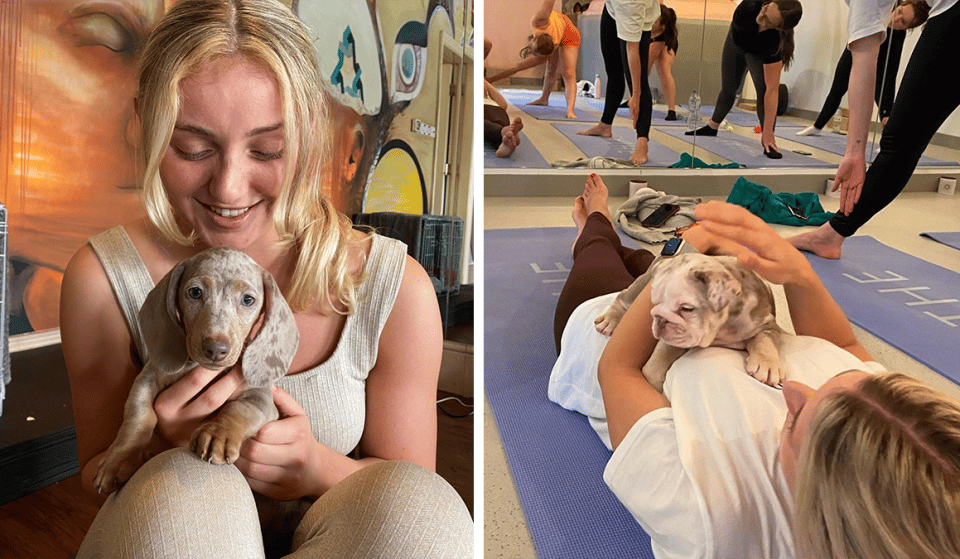 Puppy Yoga Is Coming To Manchester And It Sounds Like The Only Therapy We Need
