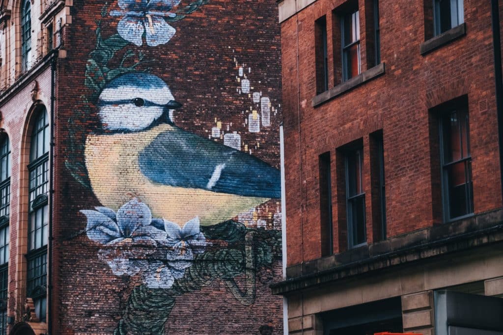bird-mural-street-art-in-manchester-northern-quarter