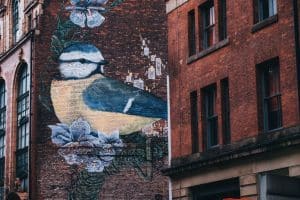 bird-mural-street-art-in-manchester-northern-quarter