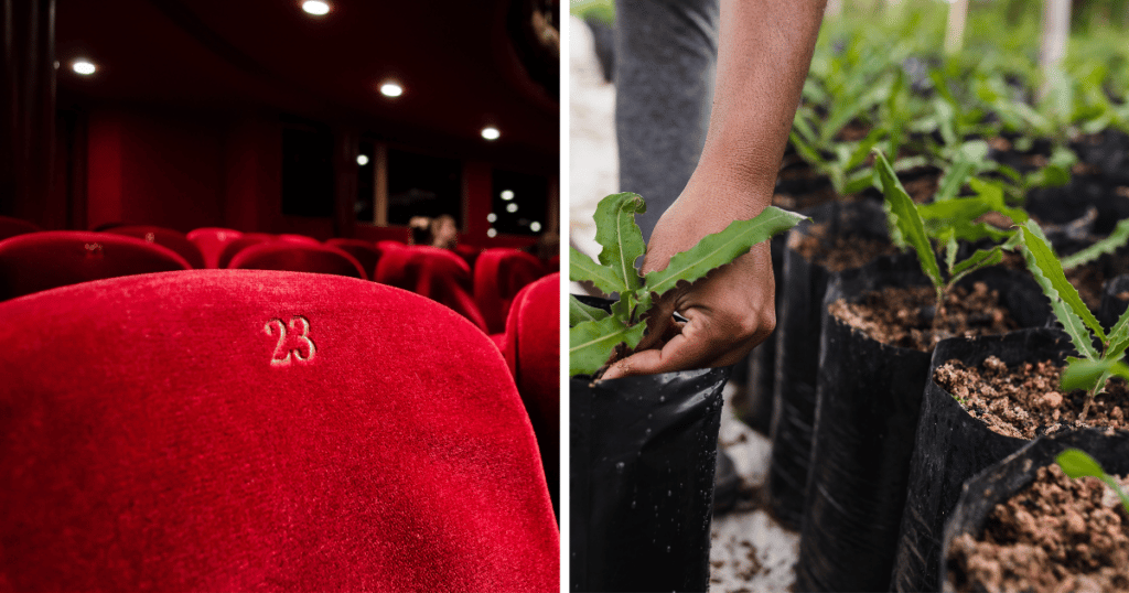 red-cinema-seats-person-potting-a-plant