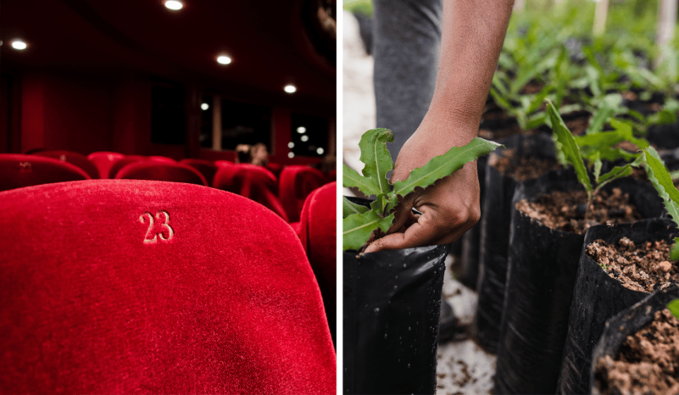 Watch Environmental Movies On The Big Screen As The UK Green Film Festival Heads To Manchester This November