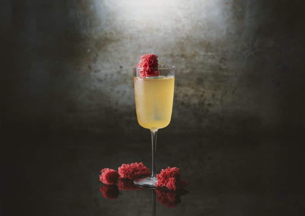 nikolais-wolf-opt-cocktail-at-97-in-chorlton-with-raspberry-decoration