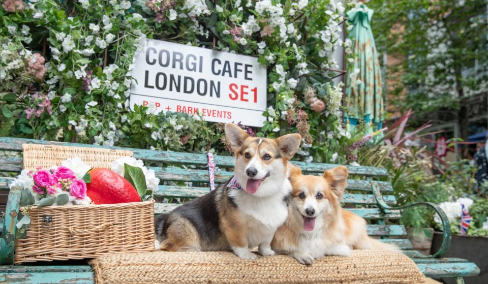 The Corgi Café Made Famous On ‘Dragons’ Den’ Is Coming To Manchester This Spring