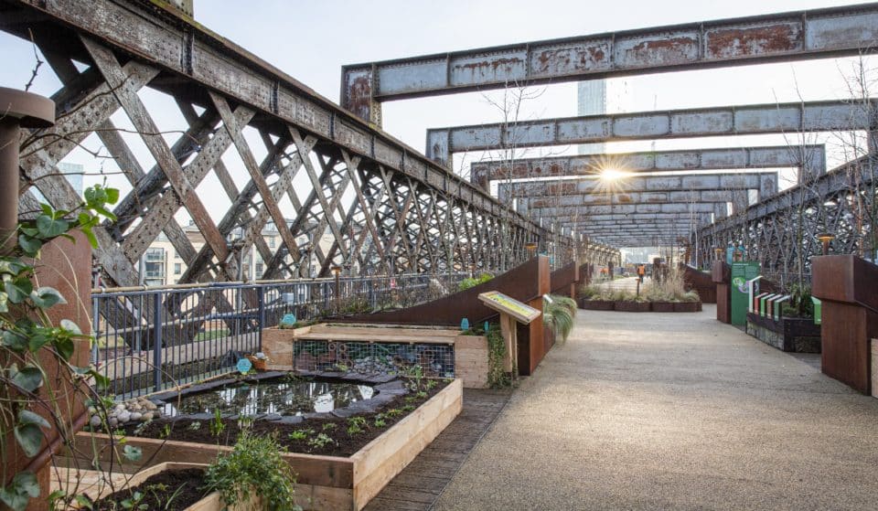 Manchester Sky Park Castlefield Viaduct Has Reopened With New Community Gardens
