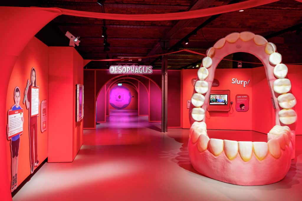 You Can Travel Like A Poo Through The Digestive System At This Manchester Museum This Summer