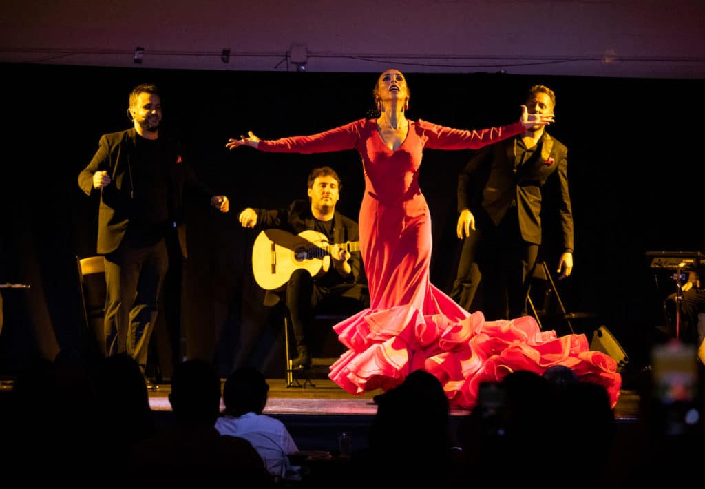 a flamenco dancer performing on stage