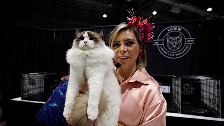 woman-holding-cat-lwcc