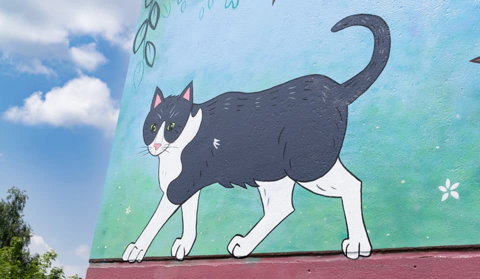 A Colourful Mural Of Chorlton’s ‘Tram Cat’ Has Officially Been Unveiled At The Metrolink Stop