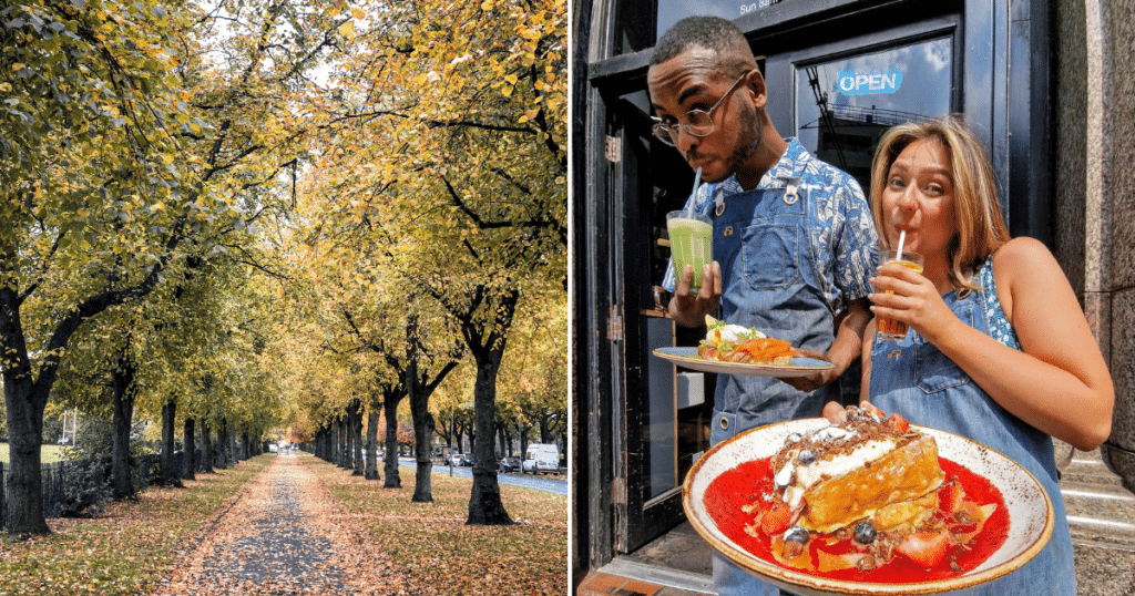 autumn-trees-federal-coffee-food