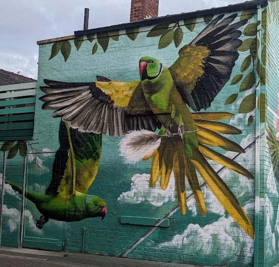parakeet-mural-withington
