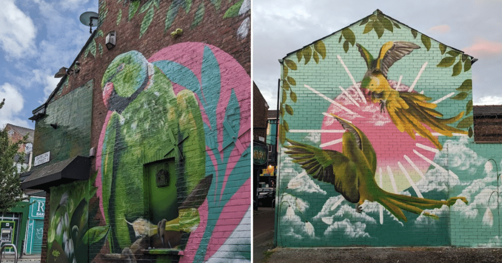 parakeet-mural-street-art-withington