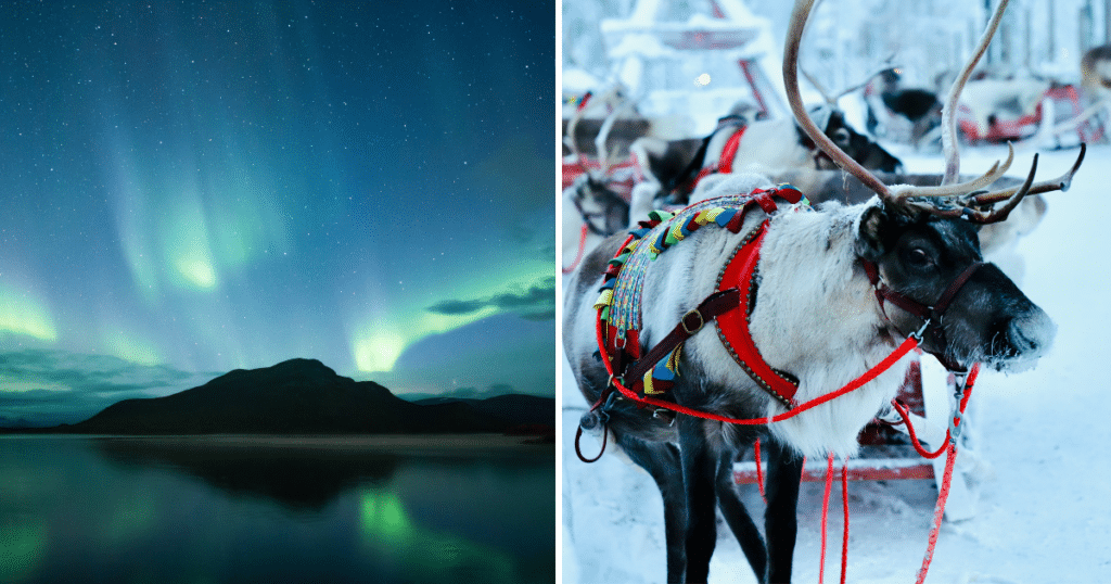 northern-lights-reindeer-in-finnish-lapland-easyjet-announces-flights-from-manchester