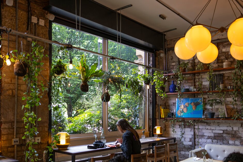 evelyns-cafe-plants-green-window-best-local-restaurants-manchester