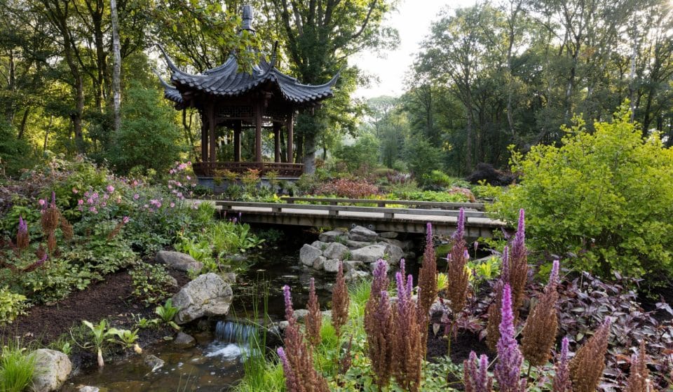 The Gorgeous New Chinese Streamside Garden And Pavilion At RHS Bridgewater Makes The Perfect Family Day Out