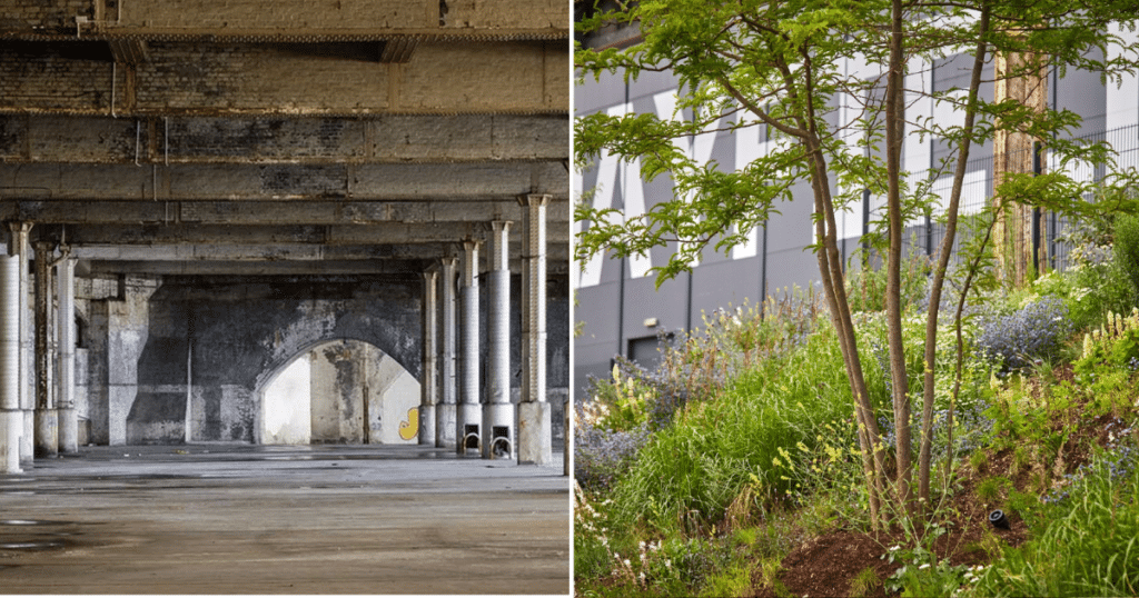 depot-mayfield-interior-exterior-green-plants-rhs-urban-show