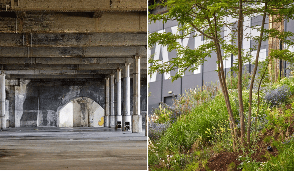 This Abandoned Railway Station Is Set To Be Transformed Into A Huge Flower Show In Manchester