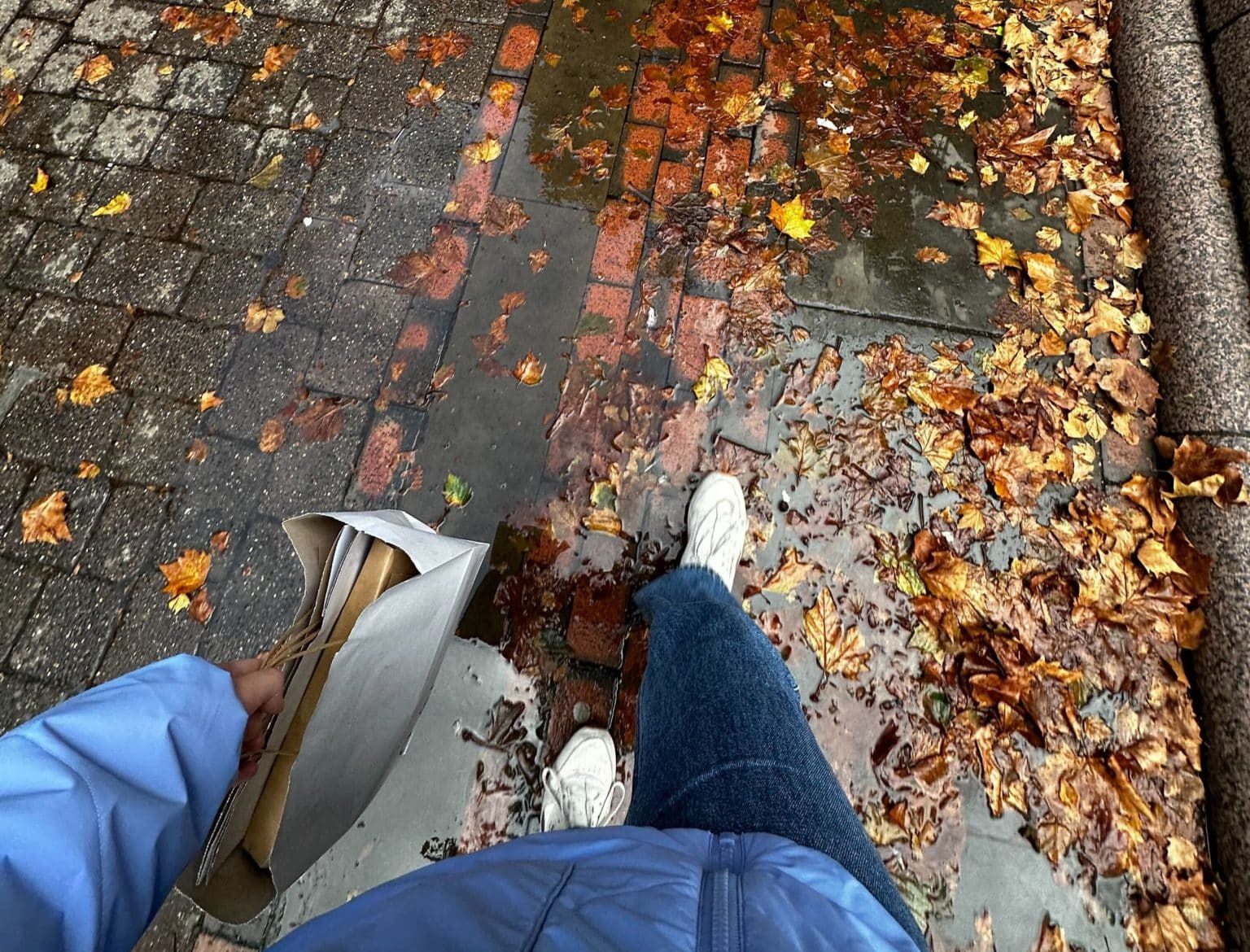 manchester-street-leaves-rain-puddle-autumn