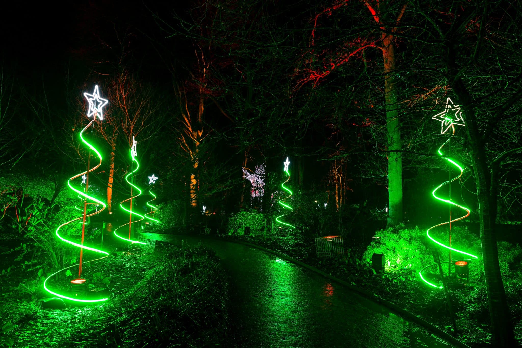 spiral-tree-lights-christmas-