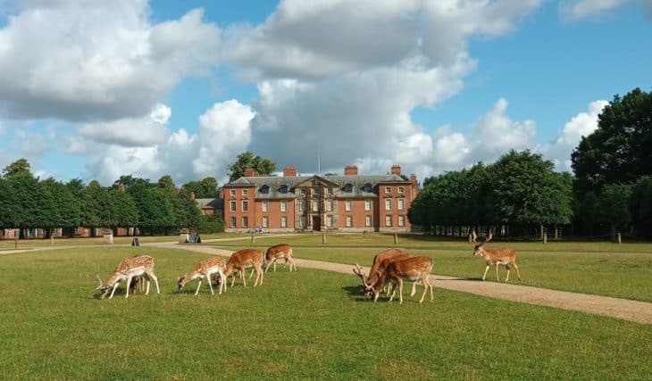 The National Trust Is Giving Away Free Tickets To Hundreds Of Attractions Across The UK
